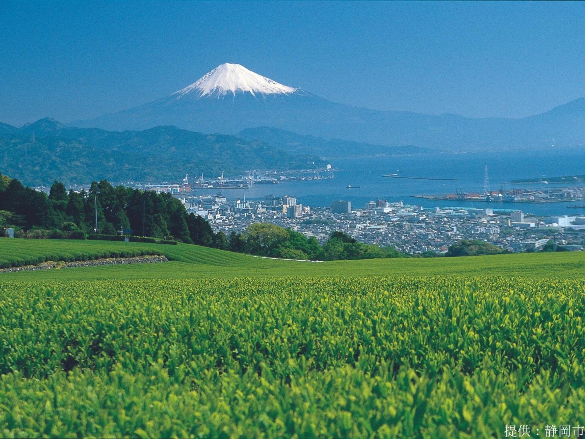 Hotel Wing International Shizuoka Esterno foto